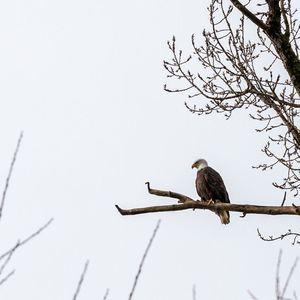 Meet your Posher, Joanne